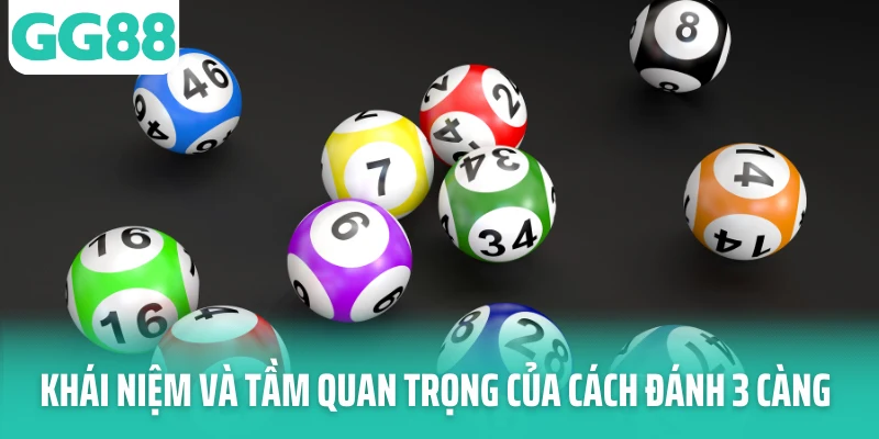 Khái niệm và tầm quan trọng của cách đánh 3 càng Khái niệm và tầm quan trọng của cách đánh 3 càng